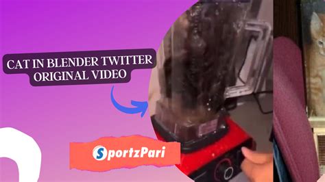 cat in blender twitter full video|What Is The Disturbing Cat Blender Video And Why Are They。